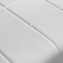 NicBex Loveseat Sofa Modern Bonded Leather Upholstered Loveseat Couch For Living Room,Small 2 Seater Sofa Couch With Metal Arms For Bedroom,White 7 NicBex Loveseat Sofa Modern Bonded Leather Upholstered Loveseat Couch For Living Room,Small 2 Seater Sofa Couch With Metal Arms For Bedroom,White -Nicbex GUEST aba10e8c 8836 4688 956f 8b60d345f5a9