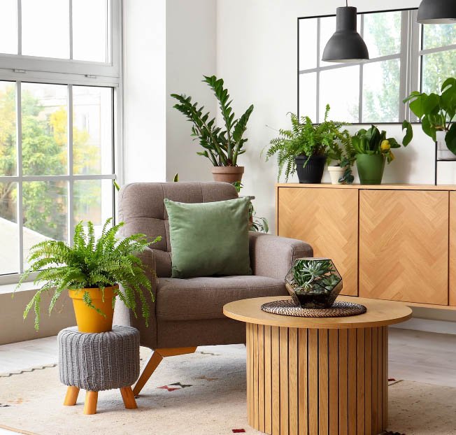 Nicbex -Nicbex TRYUYU